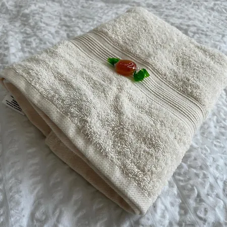 Vollausgestatte Mit, Wlan, Tv In Jedem Schlafzimmer, Einzelbetten, Bad, Garten Apartment *
